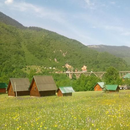 Kamp Rafting Kljajevica Luka Villa Pljevlja Oda fotoğraf